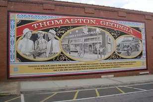 705 Triune Mill Rd, Thomaston, GA 30286 - Photo 38