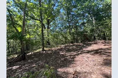 00 Vinson Mountain Road, Rockmart, GA 30153 - Photo 2