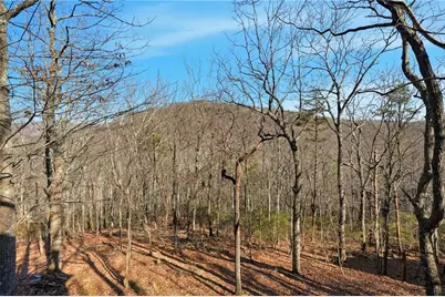 408 Alpine Drive, Jasper, GA 30143 - Photo 24