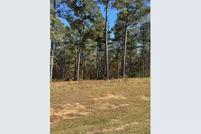 111 Stormy Drive, Eatonton, GA 31024 - Photo 2