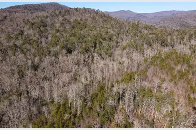 18 Corinth Church Road, Cleveland, GA 30528 - Photo 34