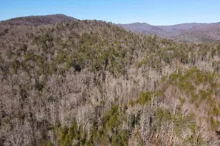 18 Corinth Church Rd, Cleveland, GA 30528 - Photo 34