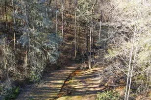 18 Corinth Church Rd, Cleveland, GA 30528 - Photo 30