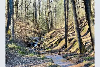 18 Corinth Church Road, Cleveland, GA 30528 - Photo 22