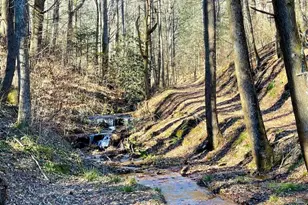 18 Corinth Church Rd, Cleveland, GA 30528 - Photo 22