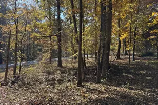 85 Annie Chandler Trail, Lawrenceville, GA 30045 - Photo 58