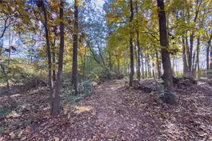 732 E Jefferson St, Hoschton, GA 30548 - Photo 60