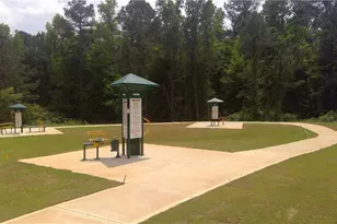 11923 Aukerman Wy, Hampton, GA 30228 - Photo 26