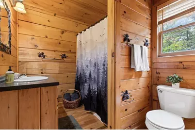 100 Wintermute Drive, Mineral Bluff, GA 30559 - Photo 34