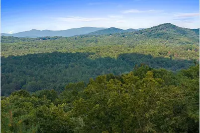 100 Wintermute Drive, Mineral Bluff, GA 30559 - Photo 4