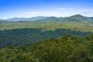 100 Wintermute Dr, Mineral Bluff, GA 30559 - Photo 4