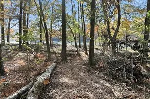 3613 Schofield Rd, Gainesville, GA 30506 - Photo 34