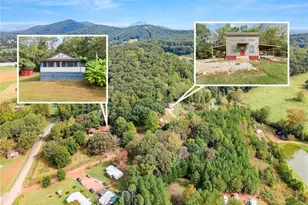 101 Rocket Dr, Cleveland, GA 30528 - Photo 20