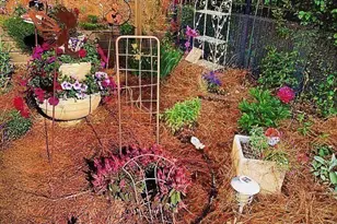 711 Ashley Wilkes Way, Loganville, GA 30052 - Photo 58