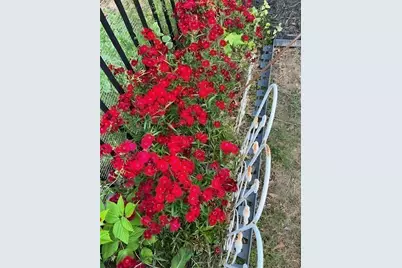 711 Ashley Wilkes Way, Loganville, GA 30052 - Photo 50