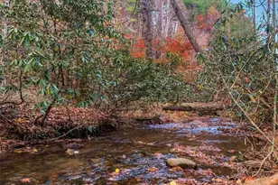 60 Bailey Creek Dr, Blue Ridge, GA 30513 - Photo 2