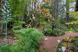 2937 Mt Olive Dr, Decatur, GA 30033 - Photo 22