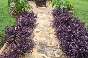 227 Elmbrook Ln, Canton, GA 30114 - Photo 40