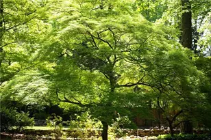 4615 Northside Dr, Atlanta, GA 30327 - Photo 60