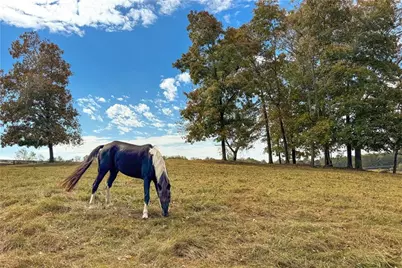 75 Lake Drive, Dawsonville, GA 30534 - Photo 36