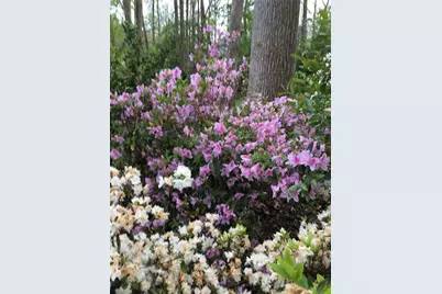 1935 Shrader Court, Lawrenceville, GA 30044 - Photo 34