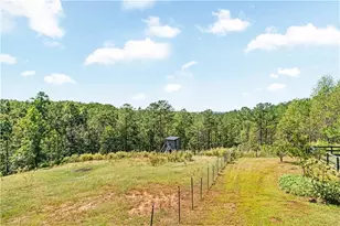 3547 Reavis Mountain Rd, Ball Ground, GA 30107 - Photo 38