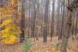 198 Treadstone Ln, Dallas, GA 30132 - Photo 32