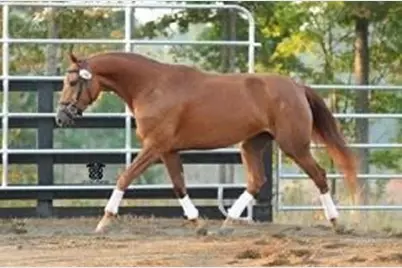 975 Blalock Lakes Drive, Newnan, GA 30263 - Photo 88