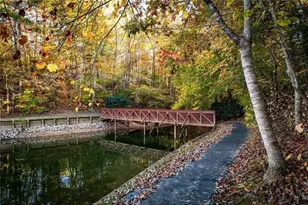 803 Night Fire Dr, Dawsonville, GA 30534 - Photo 74