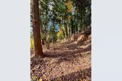 2100 West Wesley Road, Atlanta, GA 30327 - Photo 40