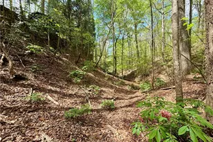 2100 West Wesley Rd, Atlanta, GA 30327 - Photo 30