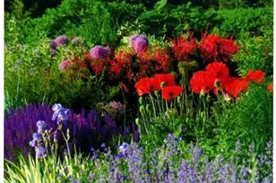 2100 West Wesley Rd, Atlanta, GA 30327 - Photo 34