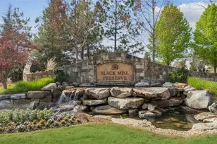 286 Ivey Hollow Cir, Dawsonville, GA 30534 - Photo 26