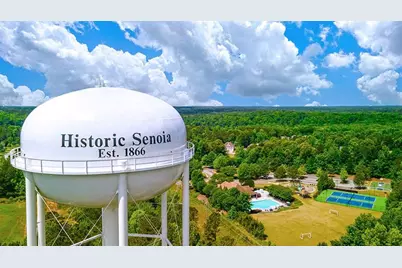 285 Staffin Drive, Senoia, GA 30276 - Photo 20