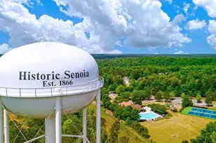 285 Staffin Dr, Senoia, GA 30276 - Photo 20