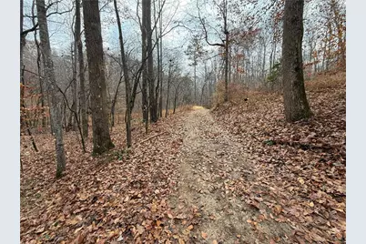 0 Falling Pines Road, Dahlonega, GA 30533 - Photo 4