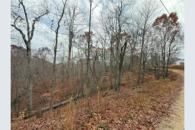 0 Falling Pines Road, Dahlonega, GA 30533 - Photo 8