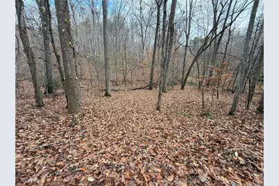 0 Falling Pines Road, Dahlonega, GA 30533 - Photo 6