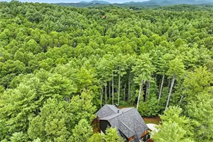 160 Nahunta Ct, Ellijay, GA 30540 - Photo 48