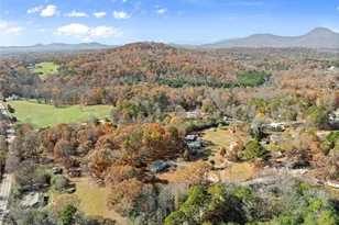 416 Nelms Rd, Cleveland, GA 30528 - Photo 44