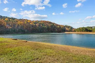 937 Aurora Ln, Ranger, GA 30735 - Photo 42