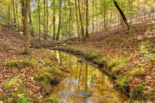 297 Oneida Cir, Ellijay, GA 30540 - Photo 32