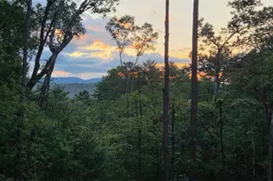 110 Red Oak Trl, Ellijay, GA 30540 - Photo 82