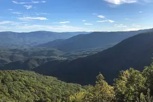 1240 Emery Creek Rd, Chatsworth, GA 30705 - Photo 28