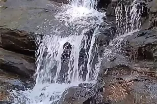 1240 Emery Creek Rd, Chatsworth, GA 30705 - Photo 40