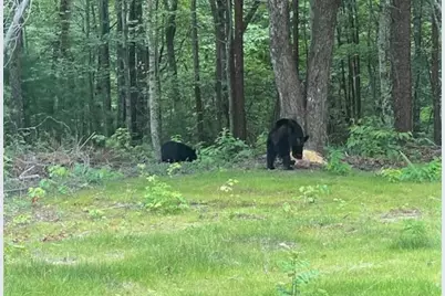 1240 Emery Creek Road, Chatsworth, GA 30705 - Photo 36