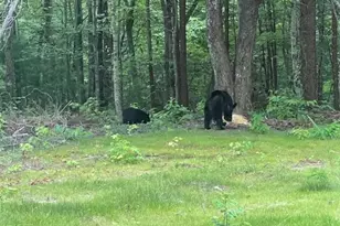 1240 Emery Creek Rd, Chatsworth, GA 30705 - Photo 36