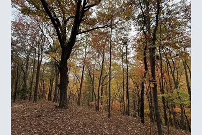 355 Orieole Court, Ranger, GA 30734 - Photo 2