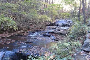 232 Andes Ridge, Ellijay, GA 30540 - Photo 1