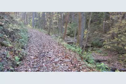 232 Andes Ridge, Ellijay, GA 30540 - Photo 2